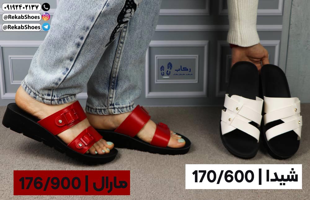 مپایی های مجلسی و طبی.